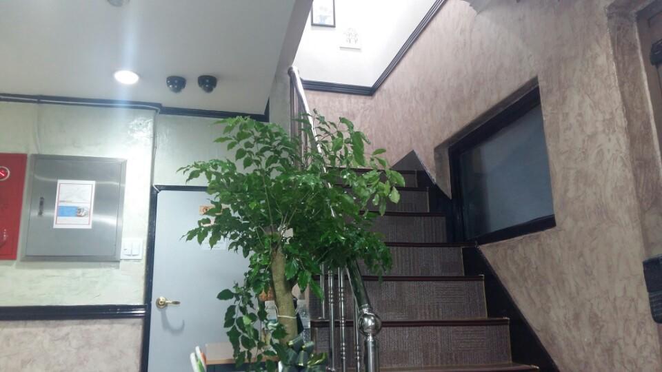 Kimstay Seoul Ngoại thất bức ảnh